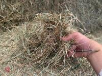 25 ROUND BALES OF 2026 MEADOW HAY - BIDS PER BALE - 2