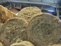 25 ROUND BALES OF 2026 MEADOW HAY - BIDS PER BALE - 7