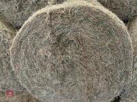 25 ROUND BALES OF 2026 MEADOW HAY - BIDS PER BALE - 11