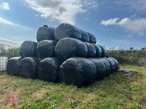 38 ROUND BALES OF 2026 HAYLAGE