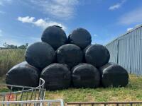 38 ROUND BALES OF 2026 HAYLAGE - BIDS PER BALE - 2