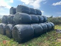 38 ROUND BALES OF 2026 HAYLAGE - BIDS PER BALE - 4
