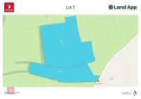 19.5 ACRES OF STANDING MAIZE - 17