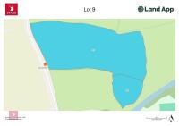 7.5 ACRES OF STANDING MAIZE - 13
