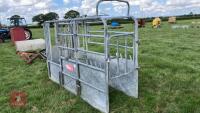 BATEMAN GALVANISED CATTLE CRUSH - 2
