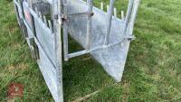 BATEMAN GALVANISED CATTLE CRUSH - 3