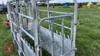BATEMAN GALVANISED CATTLE CRUSH - 4
