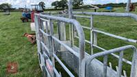 BATEMAN GALVANISED CATTLE CRUSH - 5