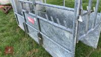 BATEMAN GALVANISED CATTLE CRUSH - 6