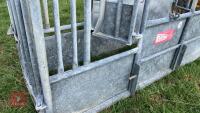 BATEMAN GALVANISED CATTLE CRUSH - 10