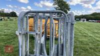 BATEMAN GALVANISED CATTLE CRUSH - 12