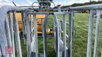 BATEMAN GALVANISED CATTLE CRUSH - 13