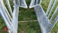 BATEMAN GALVANISED CATTLE CRUSH - 14