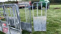 BATEMAN GALVANISED CATTLE CRUSH - 15