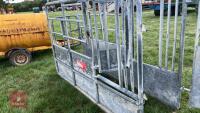 BATEMAN GALVANISED CATTLE CRUSH - 16