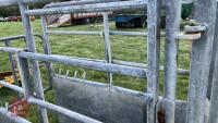 BATEMAN GALVANISED CATTLE CRUSH - 18