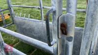 BATEMAN GALVANISED CATTLE CRUSH - 19