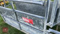 BATEMAN GALVANISED CATTLE CRUSH - 20