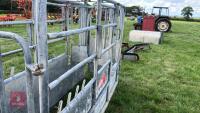 BATEMAN GALVANISED CATTLE CRUSH - 23