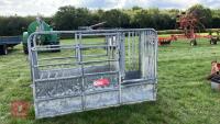 BATEMAN GALVANISED CATTLE CRUSH - 25