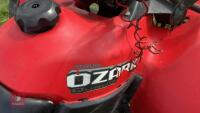 SUZUKI OZARK QUAD RUNNER 250CC ATV - 9