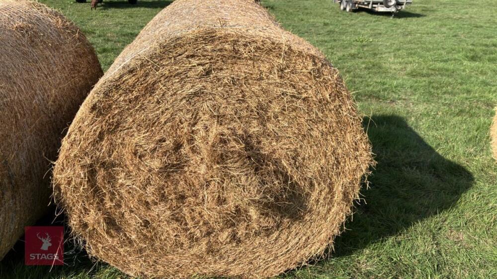 50 X 2026 ROUND BALES OF HAY (BIDS PER BALE)