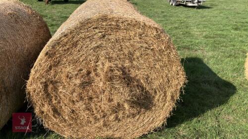 50 X 2026 ROUND BALES OF HAY (BIDS PER BALE)