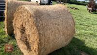 50 X 2026 ROUND BALES OF HAY (BIDS PER BALE) - 3