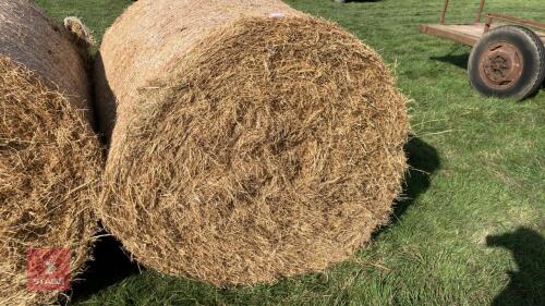 50 X 2026 ROUND BALES OF HAY (BIDS PER BALE)
