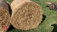 50 X 2026 ROUND BALES OF HAY (BIDS PER BALE)