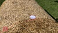 50 X 2026 ROUND BALES OF HAY (BIDS PER BALE) - 2