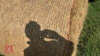25 X 2026 ROUND BALES OF HAY (BIDS PER BALE) - 2