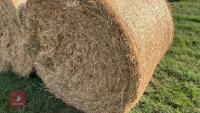 25 X 2026 ROUND BALES OF HAY (BIDS PER BALE) - 3