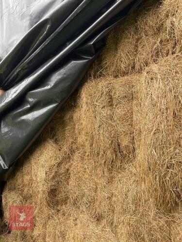 30 SQUARE BALES OF 2025 HAY - BIDS PER BALE