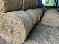 120 ROUND BALES OF 2026 MEADOW HAY - BIDS PER BALE - 4
