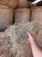 30 ROUND BALES OF 2026 HAY - BIDS PER BALE - 6