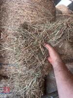 30 ROUND BALES OF 2026 HAY - BIDS PER BALE - 14