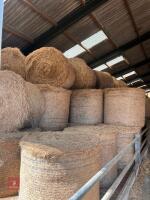 30 ROUND BALES OF 2026 HAY - BIDS PER BALE - 11