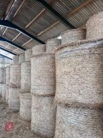 80 ROUND BALES OF 2026 HAY - BIDS PER BALE - 7
