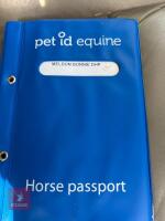 3YO 10HH DARTMOOR HILL PONY MARE - 3