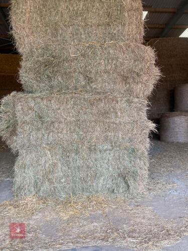 10 SQUARE BALES OF 2026 HAY - BIDS PER BALE