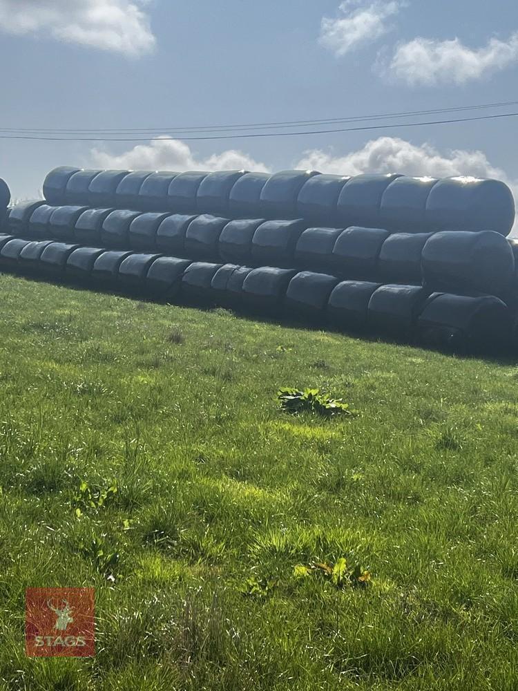 20 ROUND BALES OF 2026 HAYLAGE - BIDS PER BALE