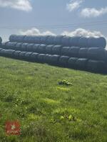 20 ROUND BALES OF 2026 HAYLAGE - BIDS PER BALE