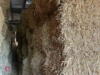 35 BALES OF 2025 WHEAT STRAW - BIDS PER BALE - 4