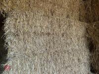 35 BALES OF 2025 WHEAT STRAW - BIDS PER BALE - 10