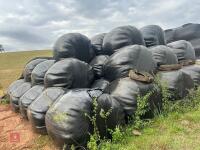 45 ROUND BALES OF 2024 HAYLAGE - BIDS PER BALE - 2