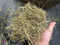 45 ROUND BALES OF 2024 HAYLAGE - BIDS PER BALE - 6