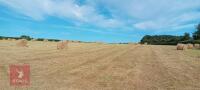 35 ROUND BALES OF 2026 HAY - BIDS PER BALE - 3
