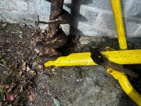 DANUSER POST HOLE BORER - 10