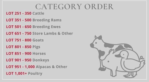SOUTH WEST SALE LOT CATEGORIES